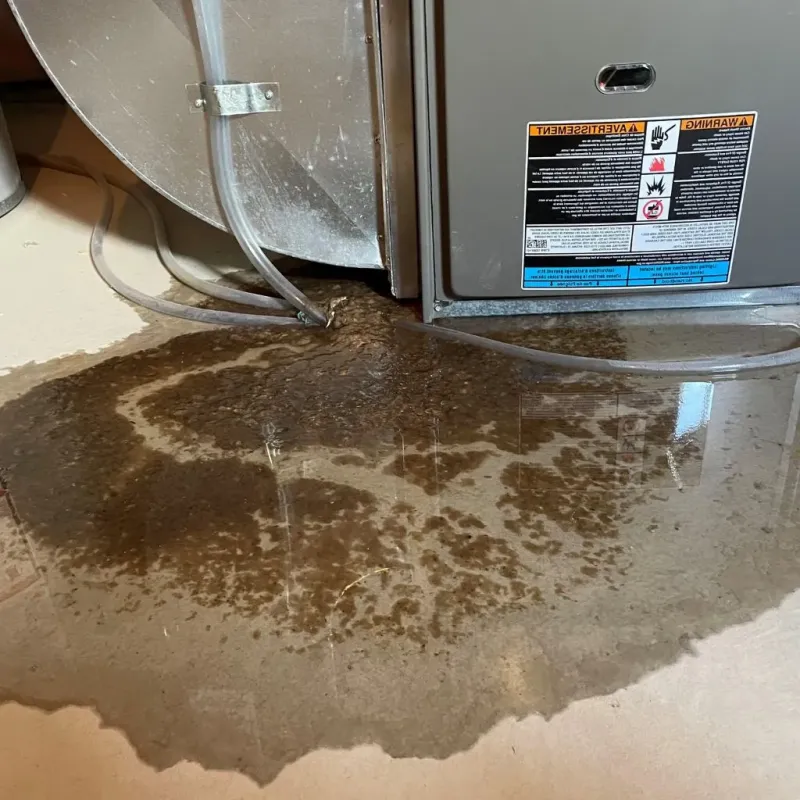 Pipe Burst and Leak Restoration in Oyster Bay Cove, NY